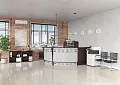 ресепшн Формула Венге