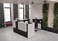 ресепшн Оникс Мали